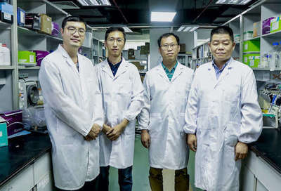 中国科学家提出“纳米导弹”靶向癌细胞，癌症治疗迎来新希望